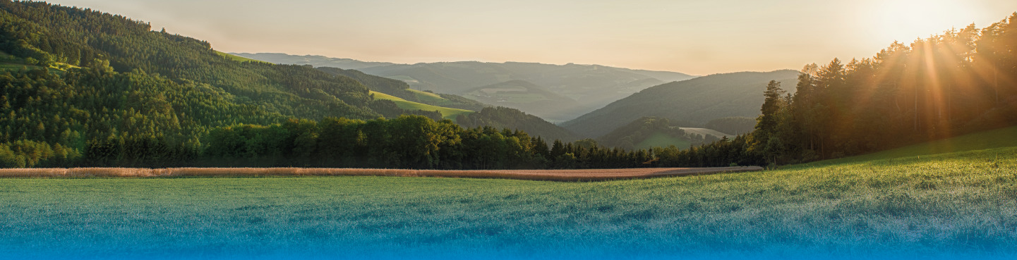 Italgas: CDP (Carbon Disclosure Project) improves Italgas score to “A-“ for the fight against climate change